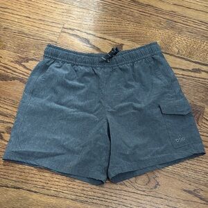 DSG Little Boy’s Gray Cargo Shorts
